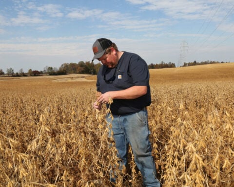 US farmers say Brazil keeps edge in China's soy market despite trade truce