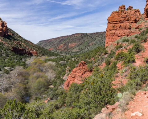 Why protecting wildland is crucial to American freedom and identity