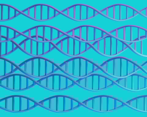 Researchers uncovered hundreds of genes linked to OCD, providing clues about how it changes the brain − new research