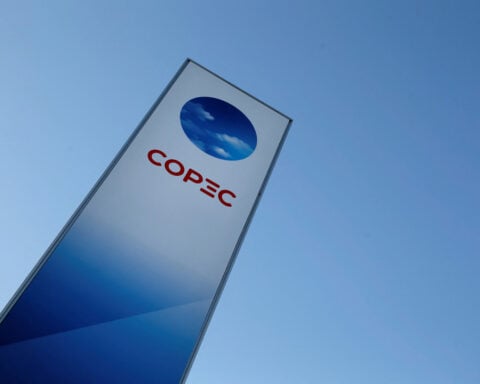 China pulp market could be challenging in face of US tariffs, Copec says