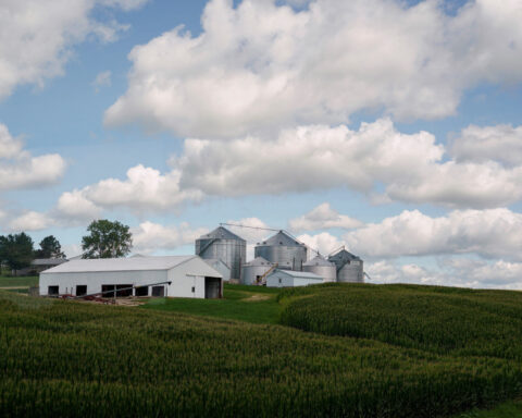 US farm agency restores some climate-related webpages after farmer lawsuit