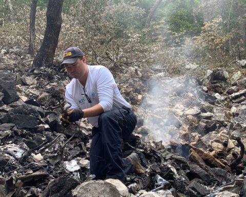 Lack of oxygen likely caused 2023 air crash that prompted Washington, DC scare
