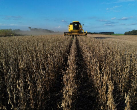 Brazilian researcher who helped country's grain boom wins World Food Prize