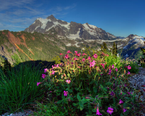 Three climbers fell 400 feet to their death. One climber survived and drove to a pay phone