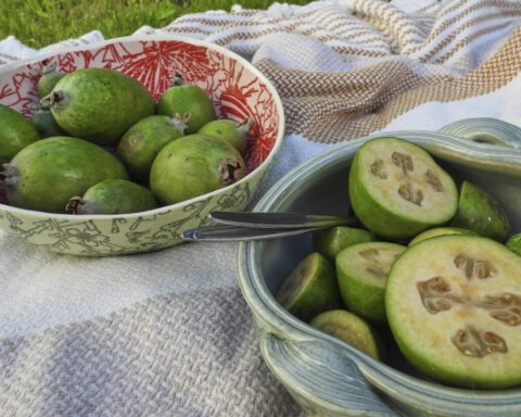 New Zealand's unofficial fruit is the feijoa, not the kiwi. And part of the fun is in giving it away