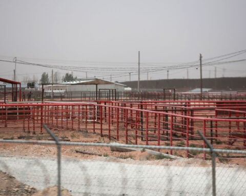 US halts live cattle imports from Mexico to quell screwworm spread