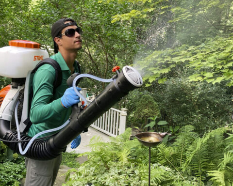 How does the EPA know a pesticide is safe to use in my yard?