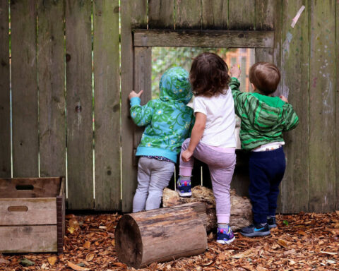 Child care costs still rising as the Trump administration eyes incentives to boost falling birthrate