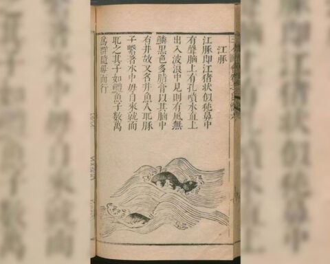 Ancient poetry unveils hidden history of critically endangered finless porpoises, scientists say