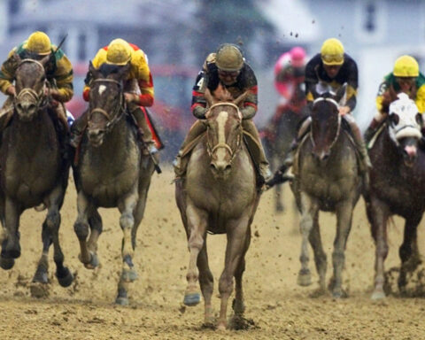 The 150th Preakness is the last at old Pimlico before demolition. Winners share their top memories