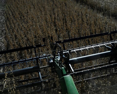 Argentina's soy farmers race ahead with harvest to beat the rains