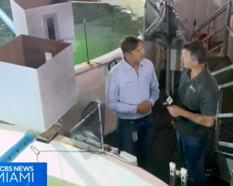 South Florida salmon? Farming innovation brings cold-water fish to the Everglades' edge