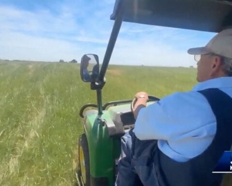 Oklahoma ranchers worried about screwworms inching closer to the state