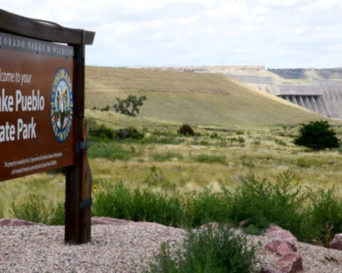 Man died trying to save his kids, friends in lake