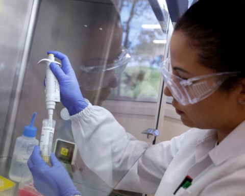 Brazil's first bird flu case on commercial firm triggers Chinese ban