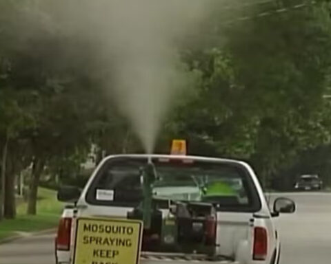 Des Moines cuts mosquito spraying due to budget constraints