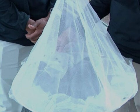 U of M students' bug trap invention keeps Japanese beetles out of gardens