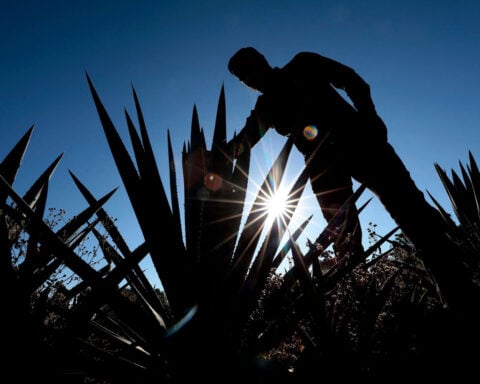 After years of flying high, celebrity tequila braces for impact