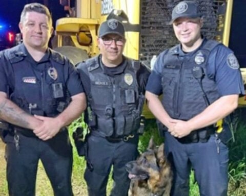 Missing boy rescued from Massachusetts swamp by police, K9 named "Meatball"