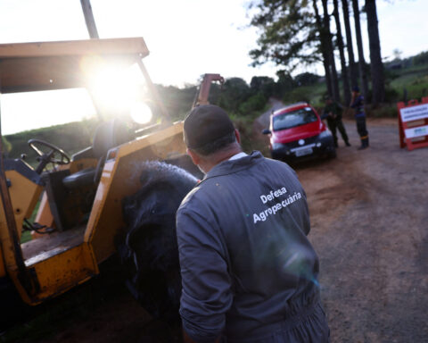Brazil hopes China, other countries may loosen trade bans over bird flu