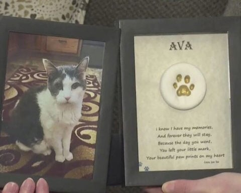 Victims of funeral home cremains case hold memorial for lost pets