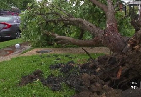 Tornado destroys Maryland family's home, community rallies to support them
