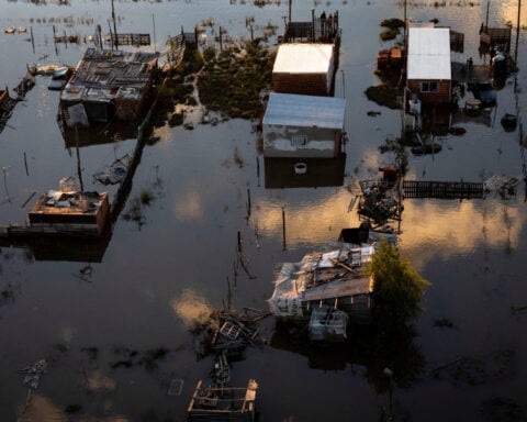 Argentina's farmers describe 'sea of water' after downpour hits harvest