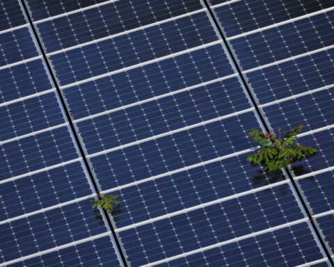 House bill would choke US solar investment, says top trade group