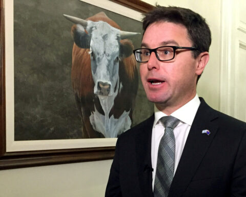 Australia's opposition coalition splits after election loss