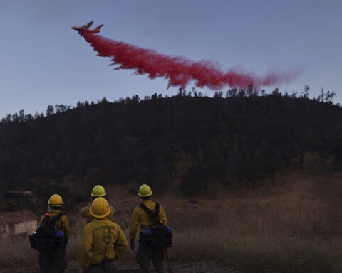Trump plans to merge wildland firefighting efforts into one agency, but ex-officials warn of chaos