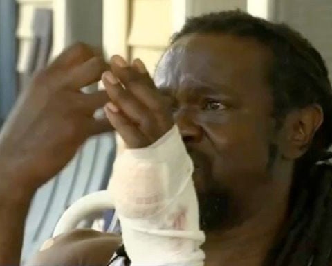 Man strangles coyote to death after it follows, attacks him: 'I felt something watching me'