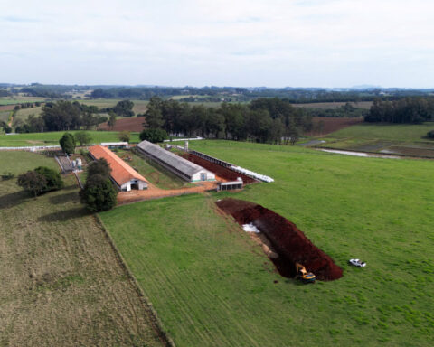Suspected bird flu case in Brazil farm worker came back negative, authorities say