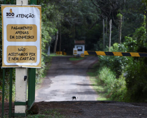 Genetic test suggests Brazil's bird flu cases in farm and zoo share same strain