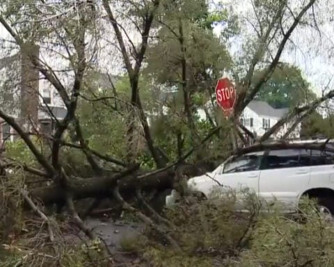 Police urge residents to beware of post-storm repair scams