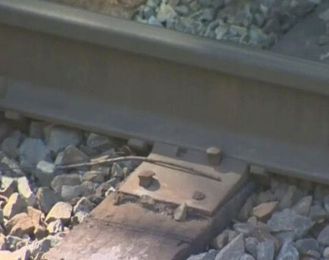 Man trying to rescue his dog died after he was struck by a train in Fort Worth, police say