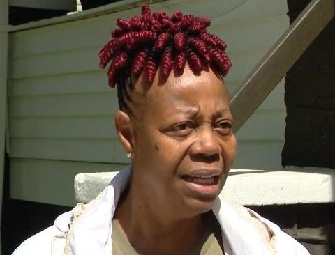 'Reaching out for help': Baltimore woman says groundhogs are invading her home