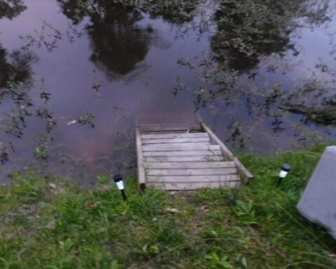 6-year-old drowns; mother arrested