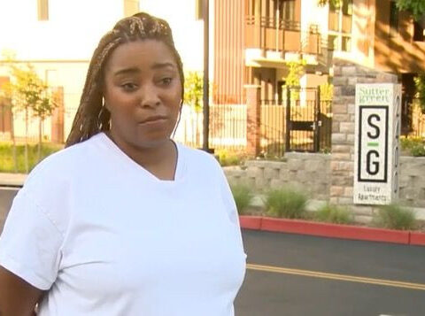 'It was just scary': Large dogs on the loose have NorCal residents on alert