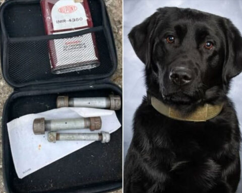 K-9 locates live pipe bombs inside vehicle