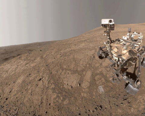 NASA's Mars Perseverance snaps a selfie as a Martian dust devil blows by