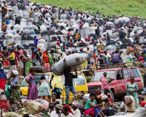 Illegal logging in rebel-held Congo threatens gorillas, alarms environmentalists
