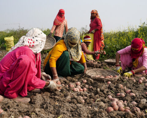 India GDP growth likely picked up in the January–March quarter