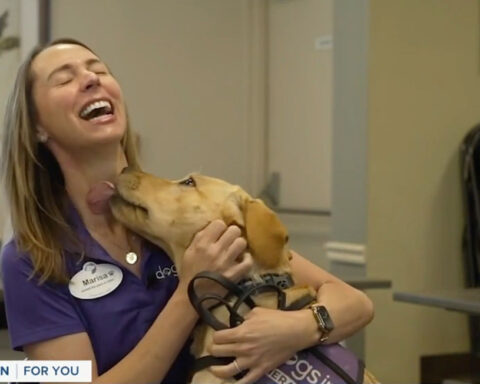 Man’s best friend takes on new role helping veterans and active-duty military