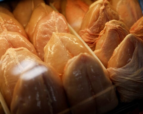 Brazil hopes to be officially free of bird flu in 28 days