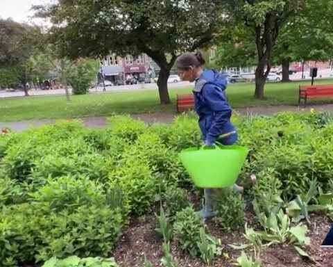 'Just dumbfounded:' Gold and silver coins discovered buried in Vermont park