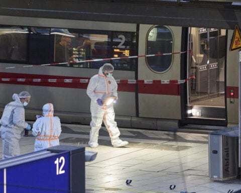 A stabbing at Hamburg's central train station causes multiple injuries. A woman is arrested