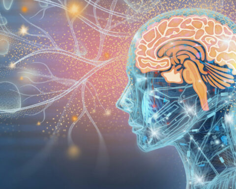 Can you upload a human mind into a computer? A neuroscientist ponders what’s possible