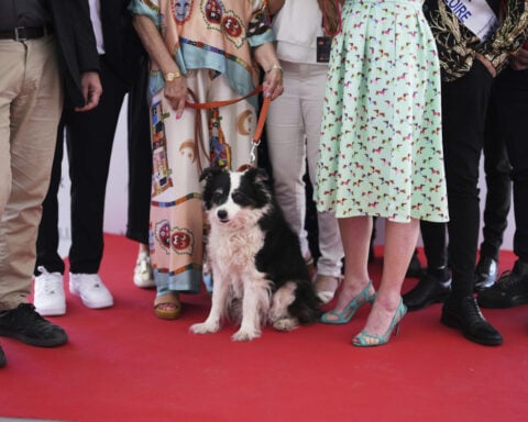 Panda wins the 2025 Palm Dog award at Cannes — and a look-alike accepts