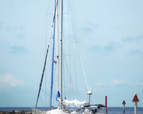 An Oregon man who quit his job to set sail with his cat arrives to cheering fans in Hawaii
