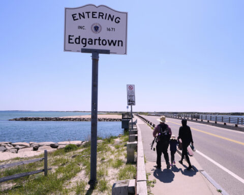 Endurance swimmer closes in circumnavigation of Martha’s Vineyard ahead of ‘Jaws’ 50th